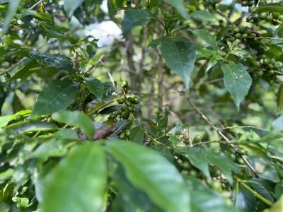 IMAGE Image 6