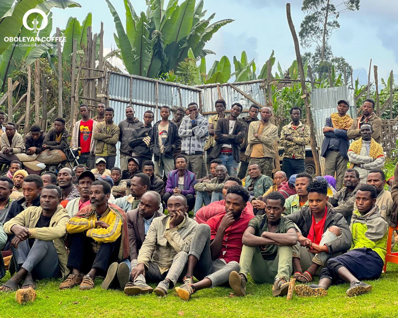 Harvesting the Cherries